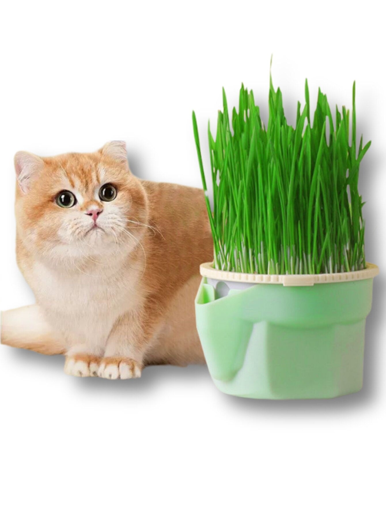 NipNurture Grow Cup