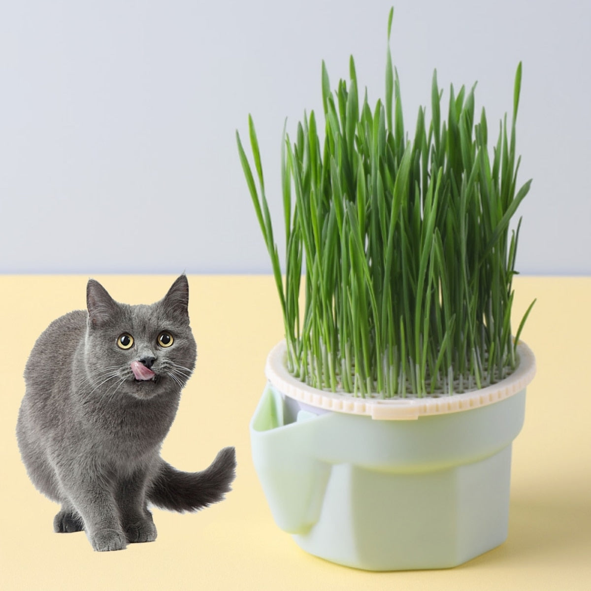 NipNurture Grow Cup